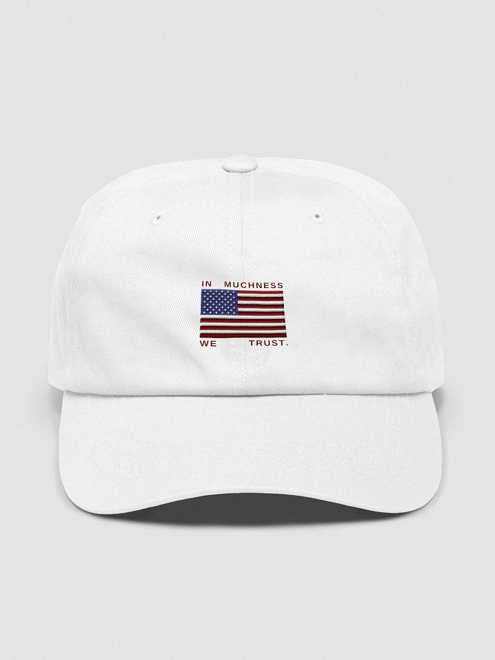 LIMTED EDITION: In Muchness We Trust dad hat product image (1)
