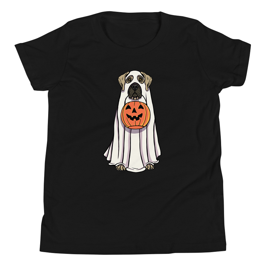 Halloween Great Dane(Fawn) Youth T-Shirt product image (8)