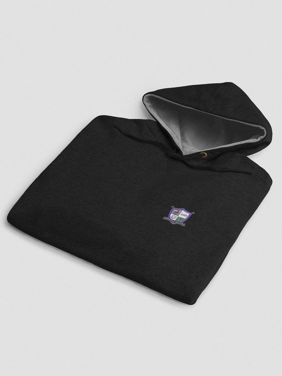 The Streaming Collective - Champion Cotton Max Hoodie product image (5)