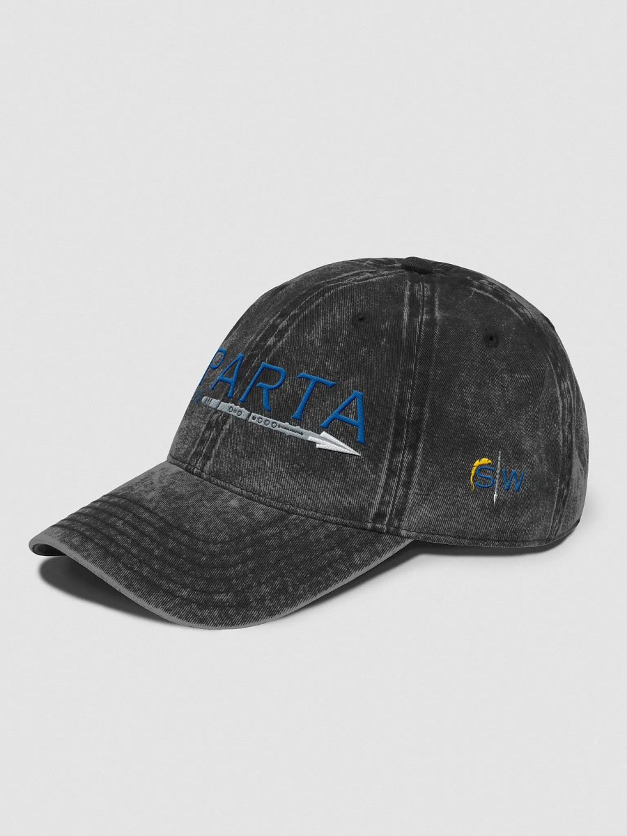SW Vintage Wash Hat product image (5)