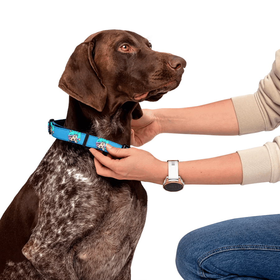 AMP-TWK Collar product image (6)