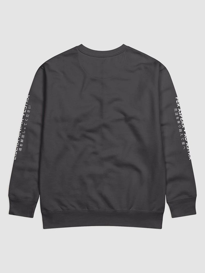 Japanese Sweater product image (5)