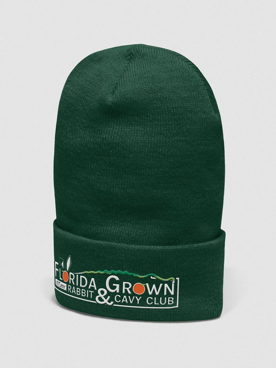 Florida Grown Hoodie Green product image (2)