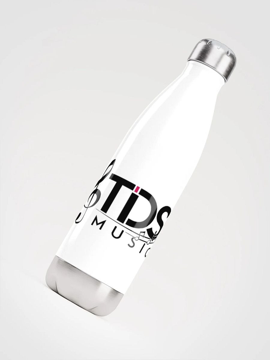 TDS Music Insulated Stainless Steel Water Bottle - 17oz, White product image (4)