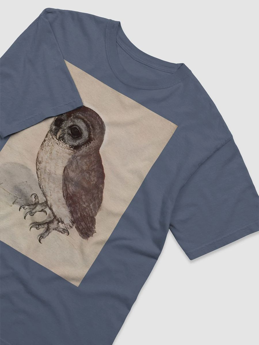 Albrecht Durer The Little Owl Graphic Tee product image (34)