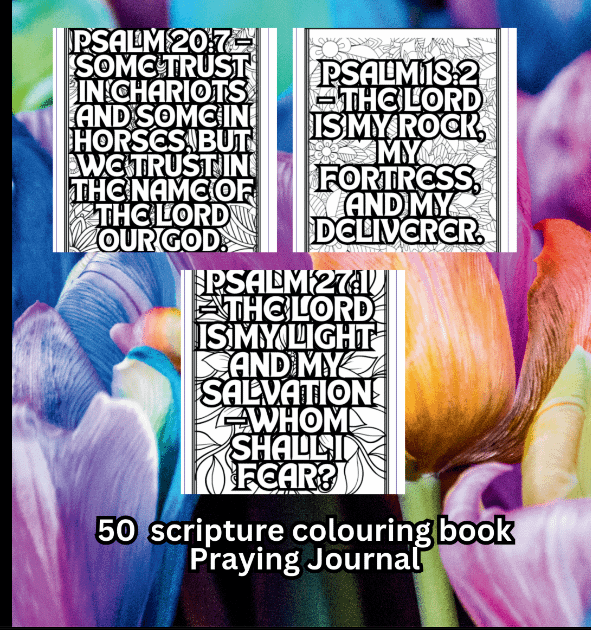 Praying Scripture Journal Colouring book product image (2)
