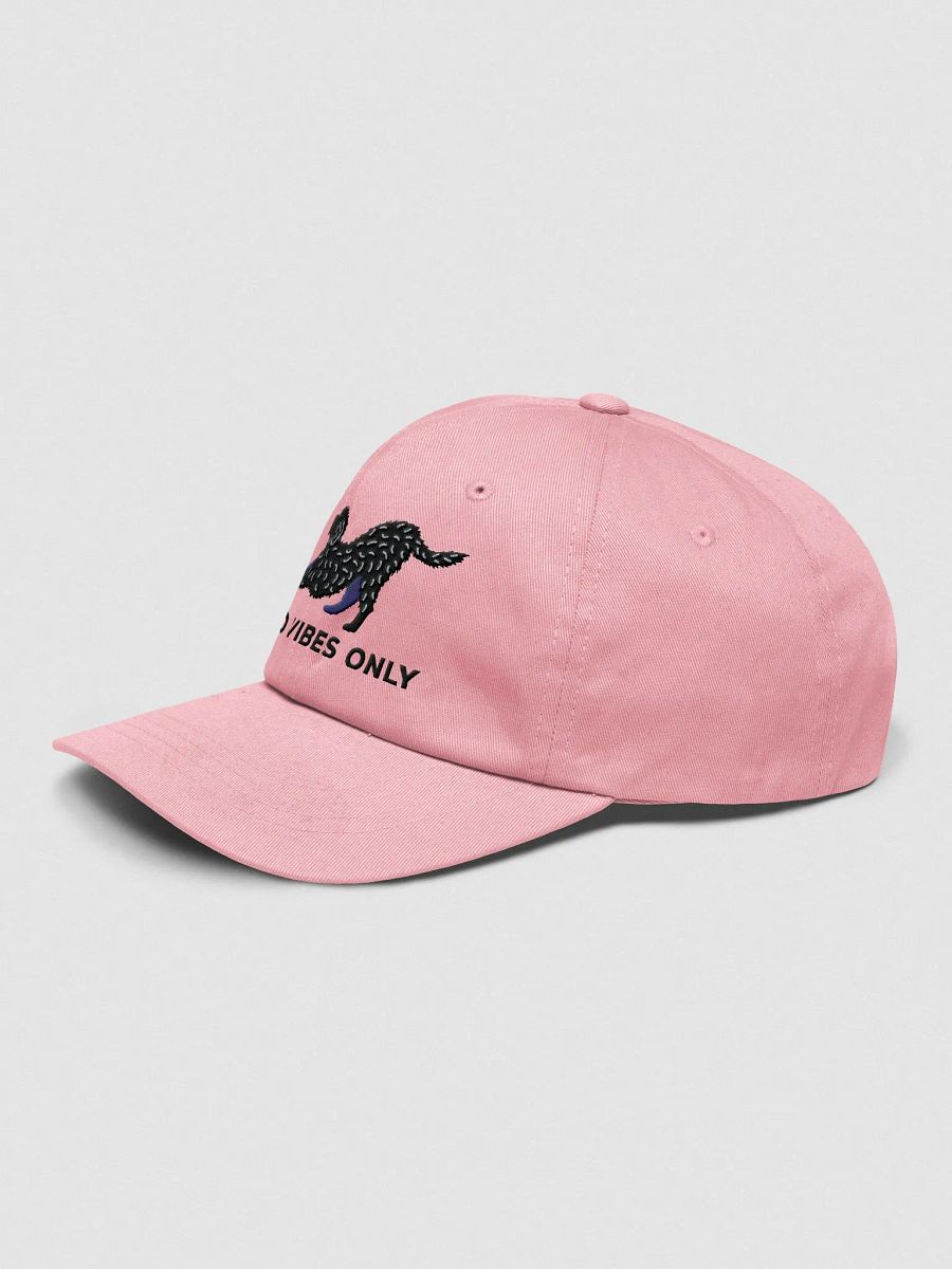 Dood Vibes Only Classic Dad Hat(Embroidered) of a Labradoodle(Black) product image (23)