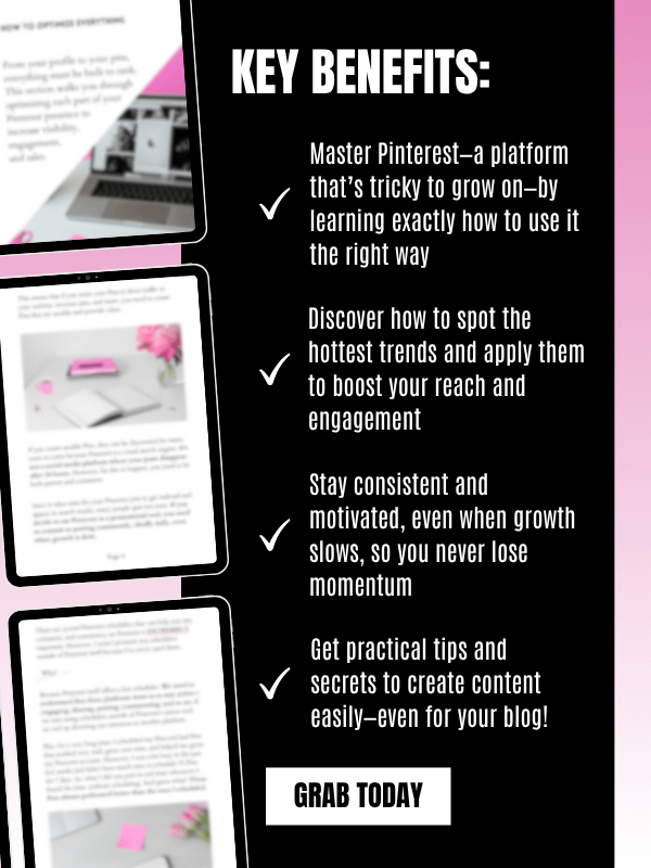 MRR/PLR Pinterest Marketing eBook product image (5)