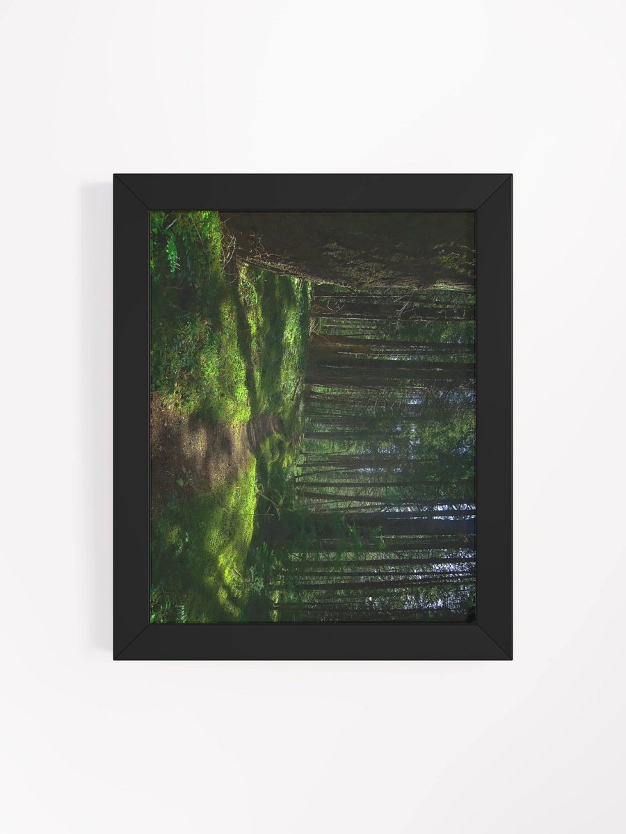 Lower Dungeness Trail Timber sun lighting Matte Poster product image (4)
