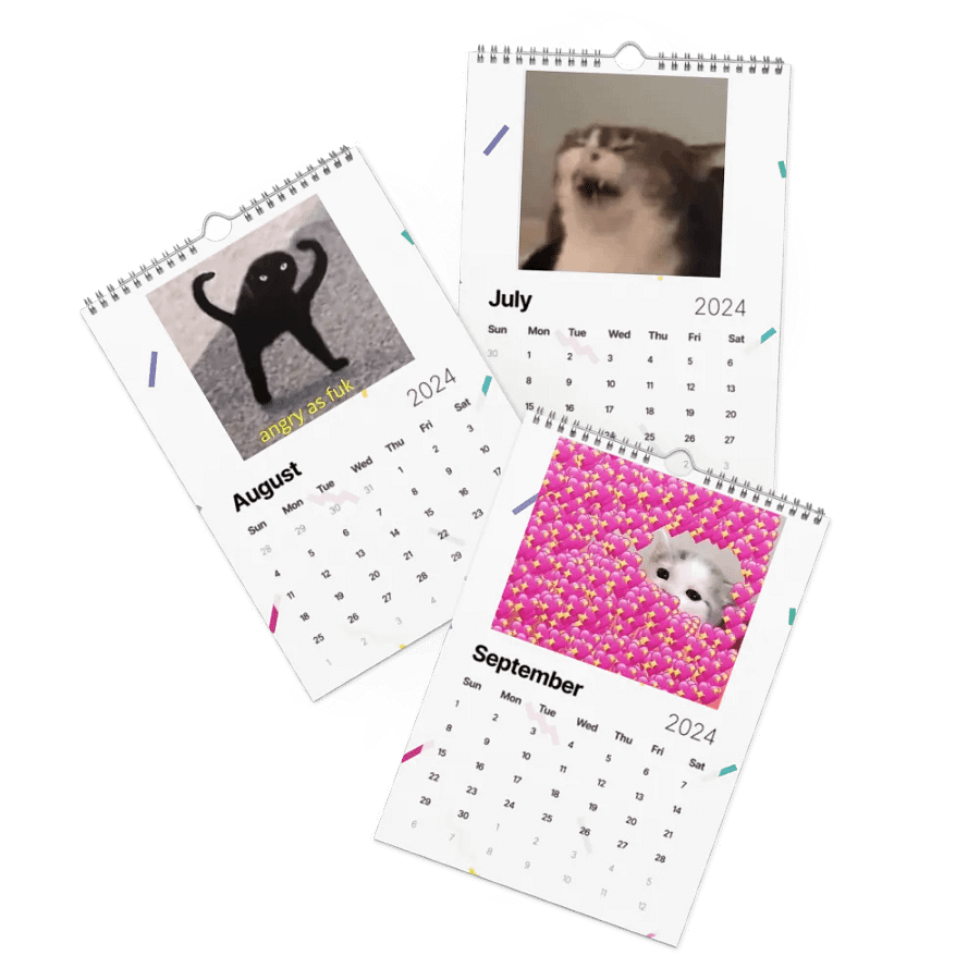 Wall Calendar (2024): Meme Cats product image (11)