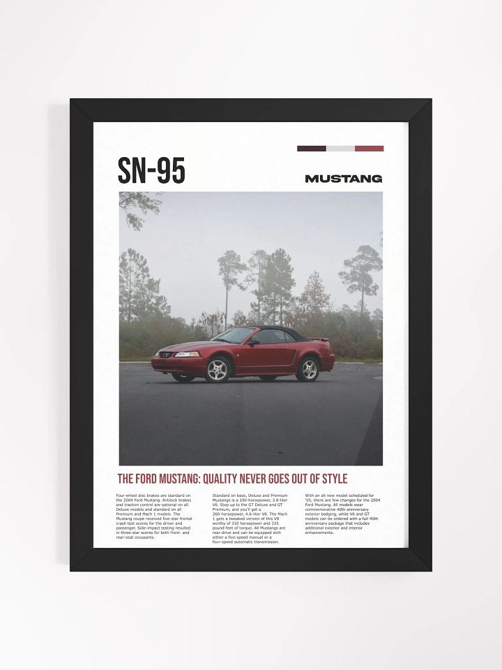 SN-95 framed poster product image (1)