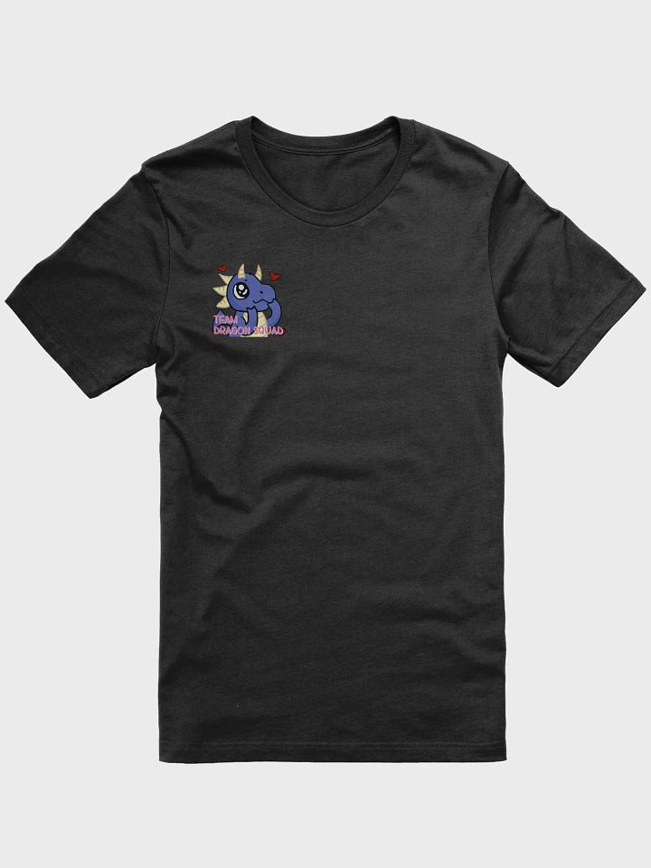 TEAM DS TEE product image (1)