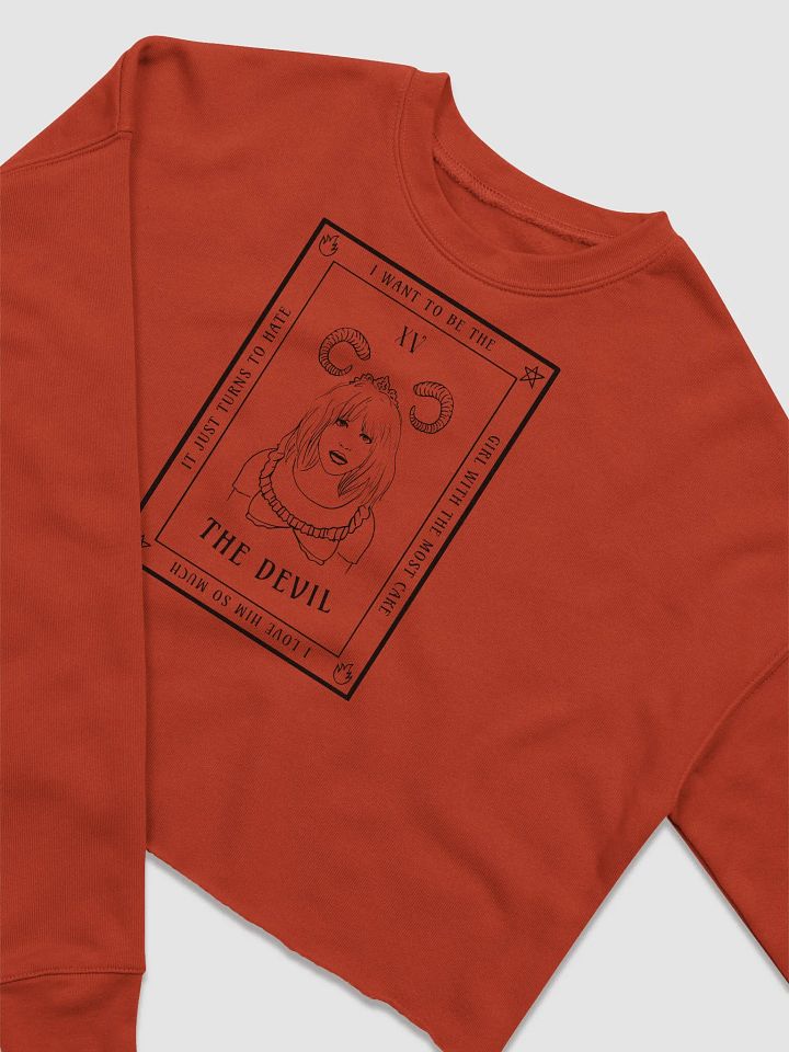 COURTNEY THE DEVIL CROP SWEATER product image (2)