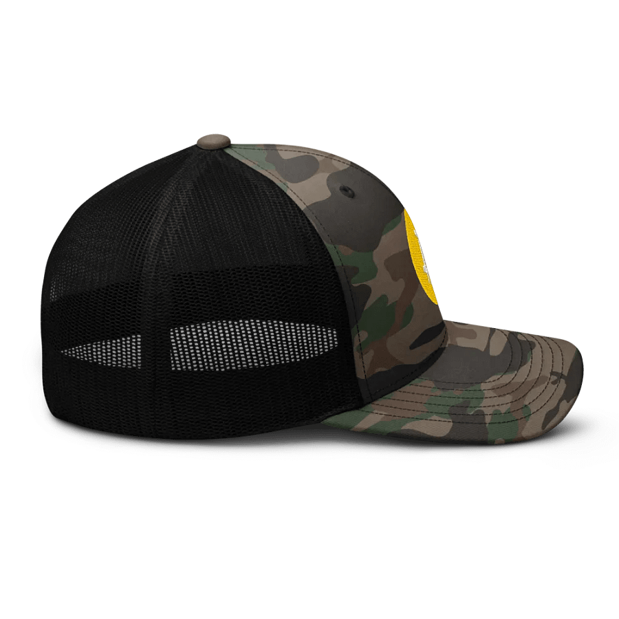 Bitcoin Logo Embroidered Camo Hat product image (6)