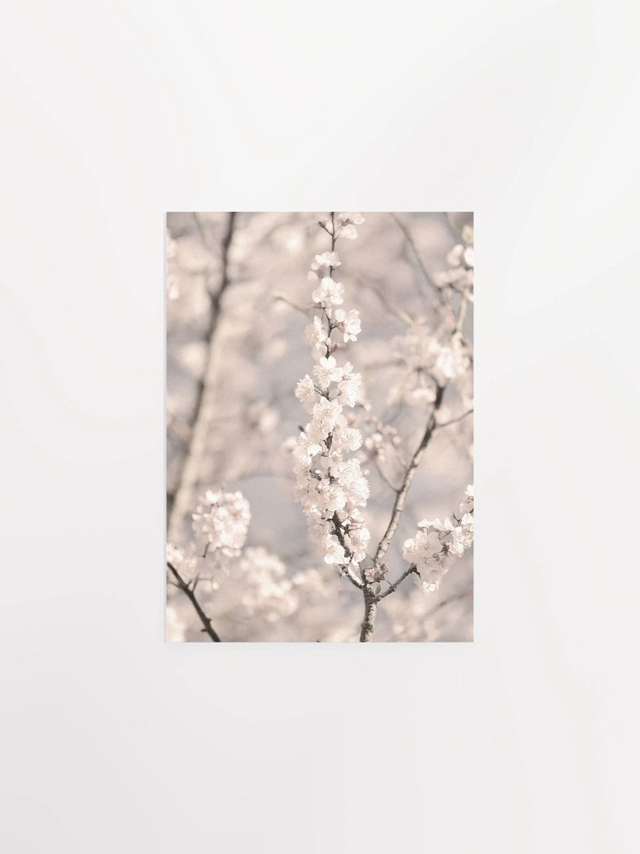 Sakura - Enhanced Matte Paper Poster product image (3)