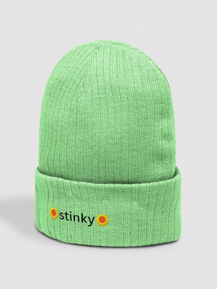 stinky ribbed beanie hat product image (2)