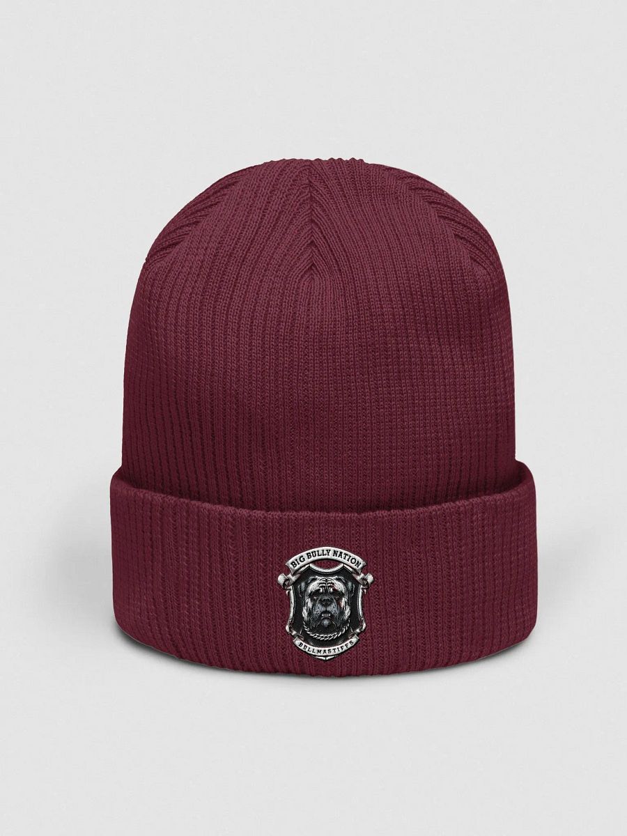 BBN Alter Ego Beanie product image (3)