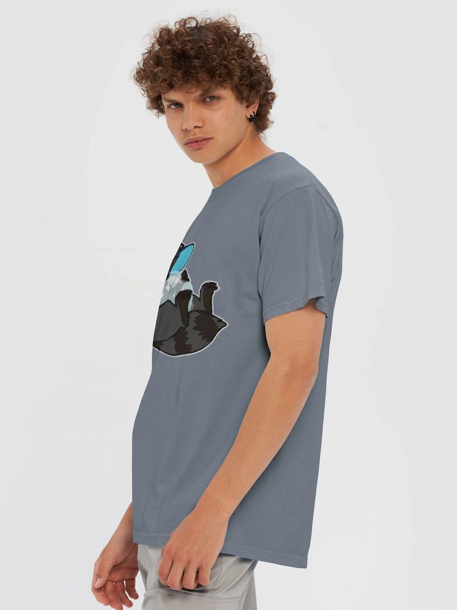 Raccoon Fortune product image (35)