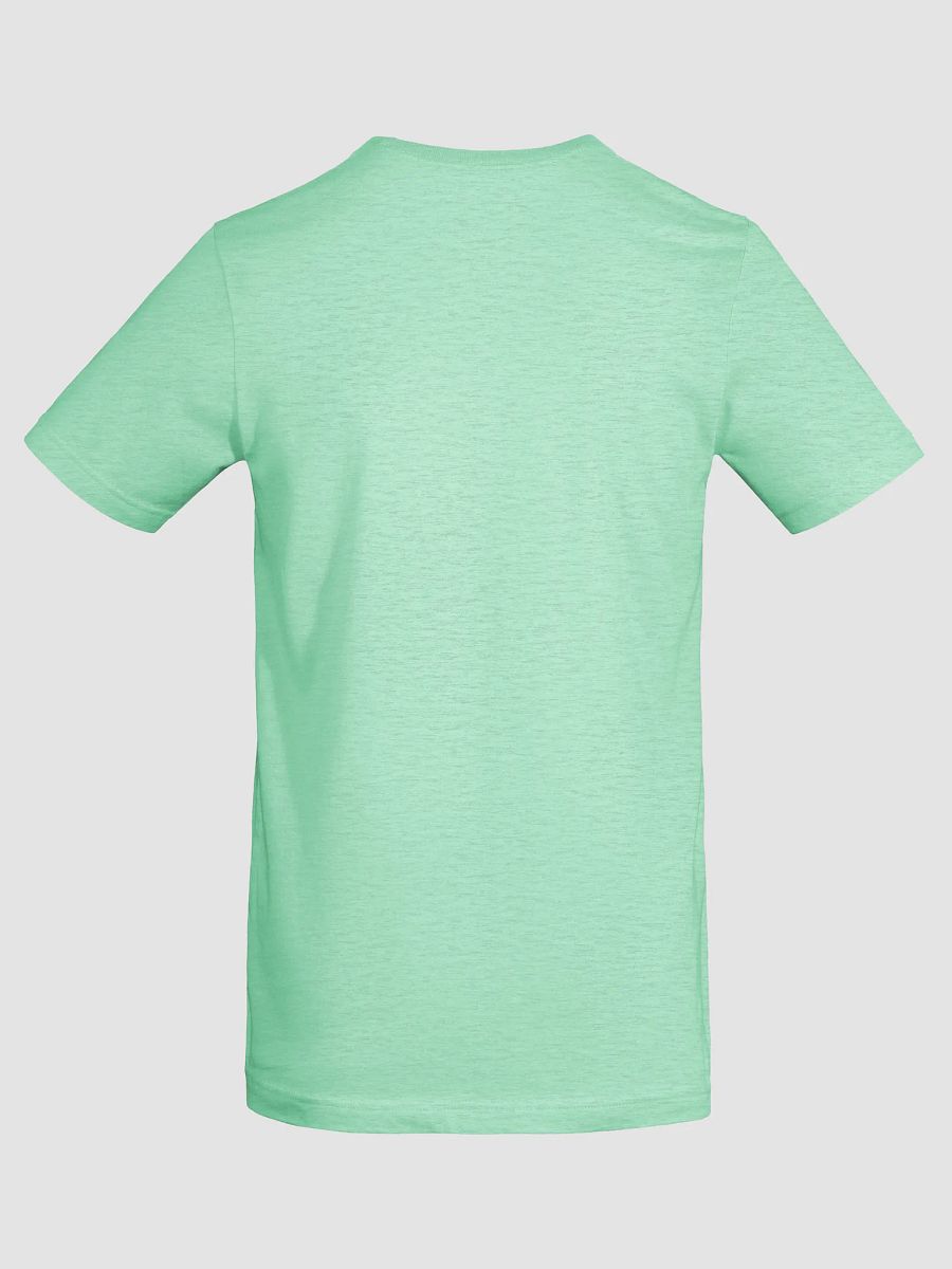 Traditional Gender Unity Connection T-Shirt product image (6)