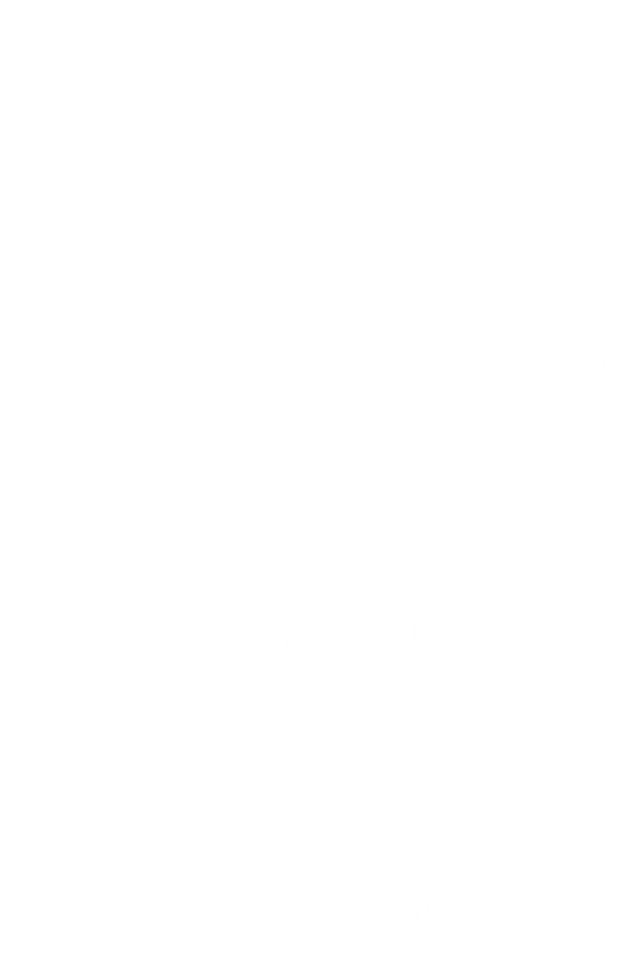 Skullmap - Samarreta product image (5)