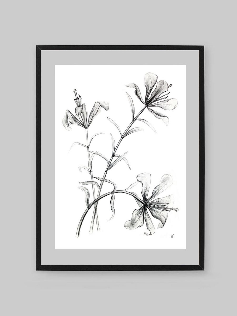 Lily Botanical Drawing Poster - Wild Elegant Flowers product image (8)