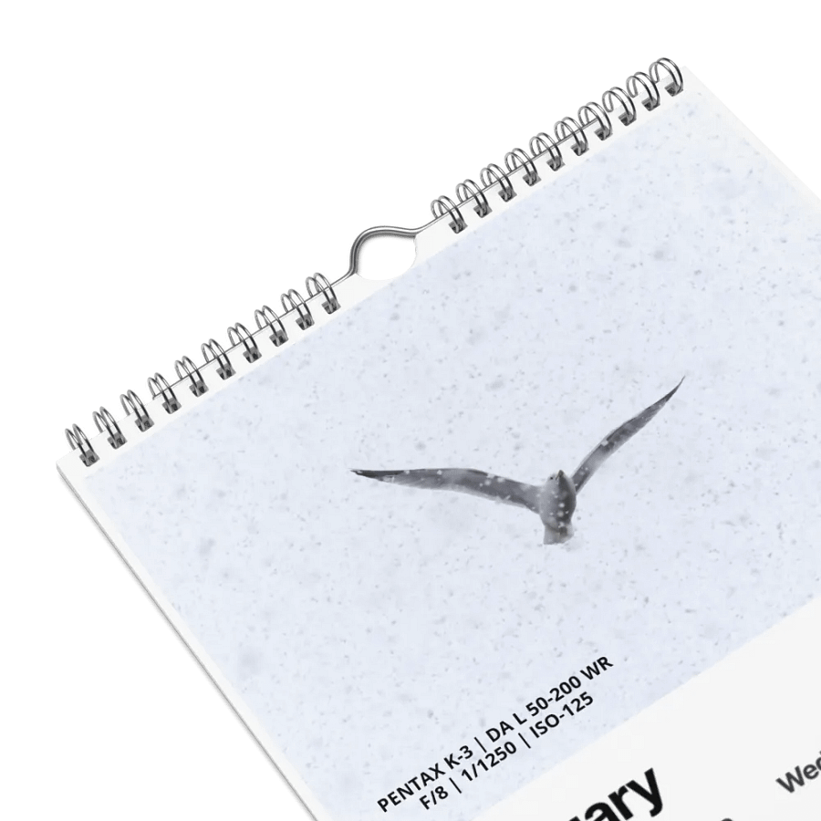 2024 Photo Calendar product image (16)