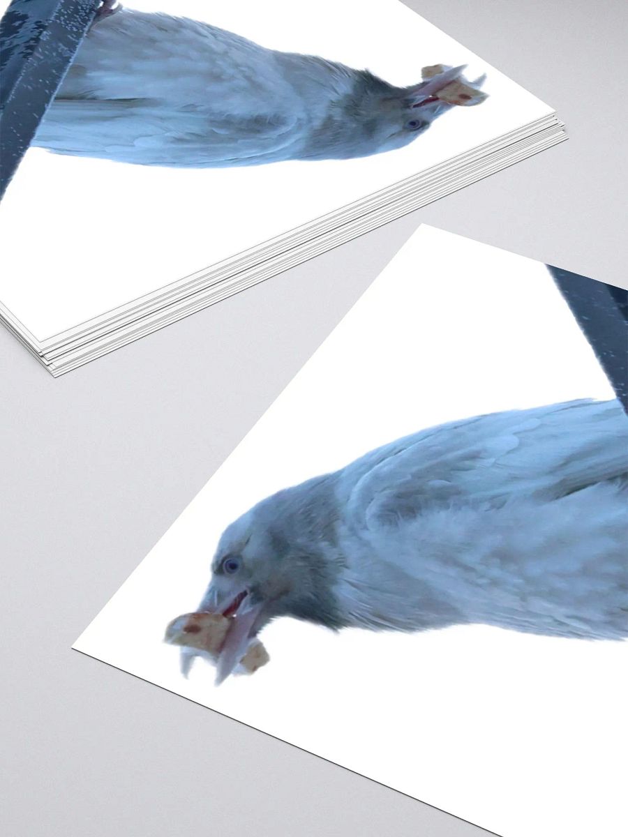 Anchorage White Raven product image (10)