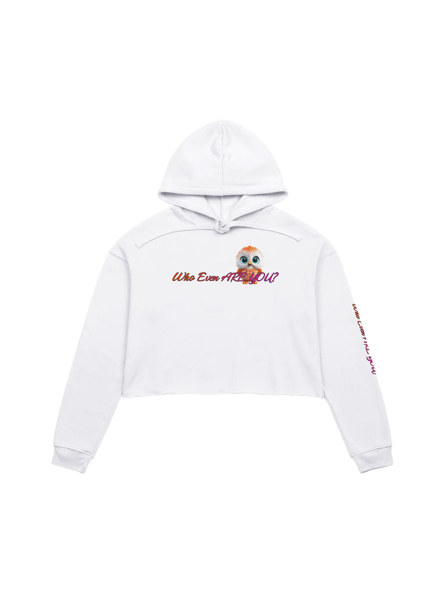 Mystery Babe Crop Hoodie product image (2)