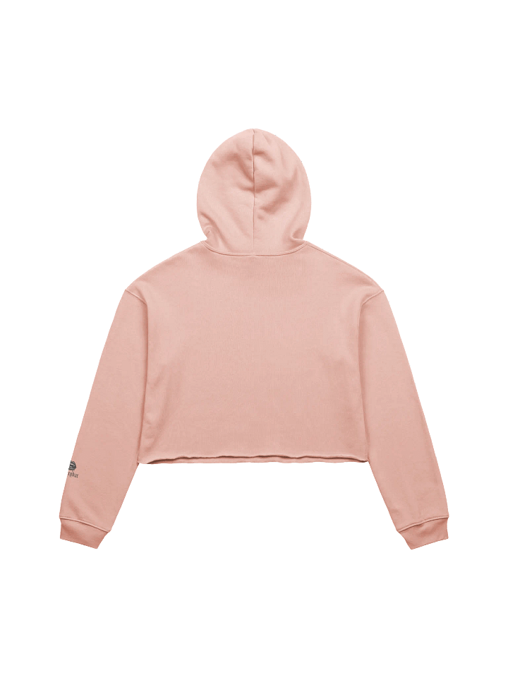poetry club cropped hoodie product image (2)