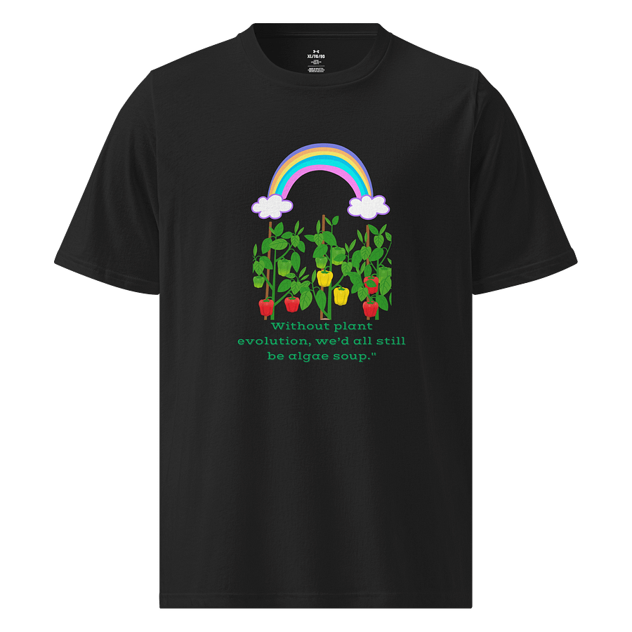 Rainbow Harvest Athletic T-Shirt product image (1)