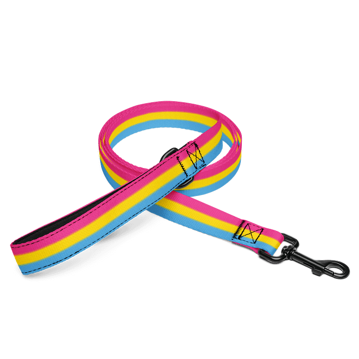 Pansexual Pride Flag Pet Leash product image (1)