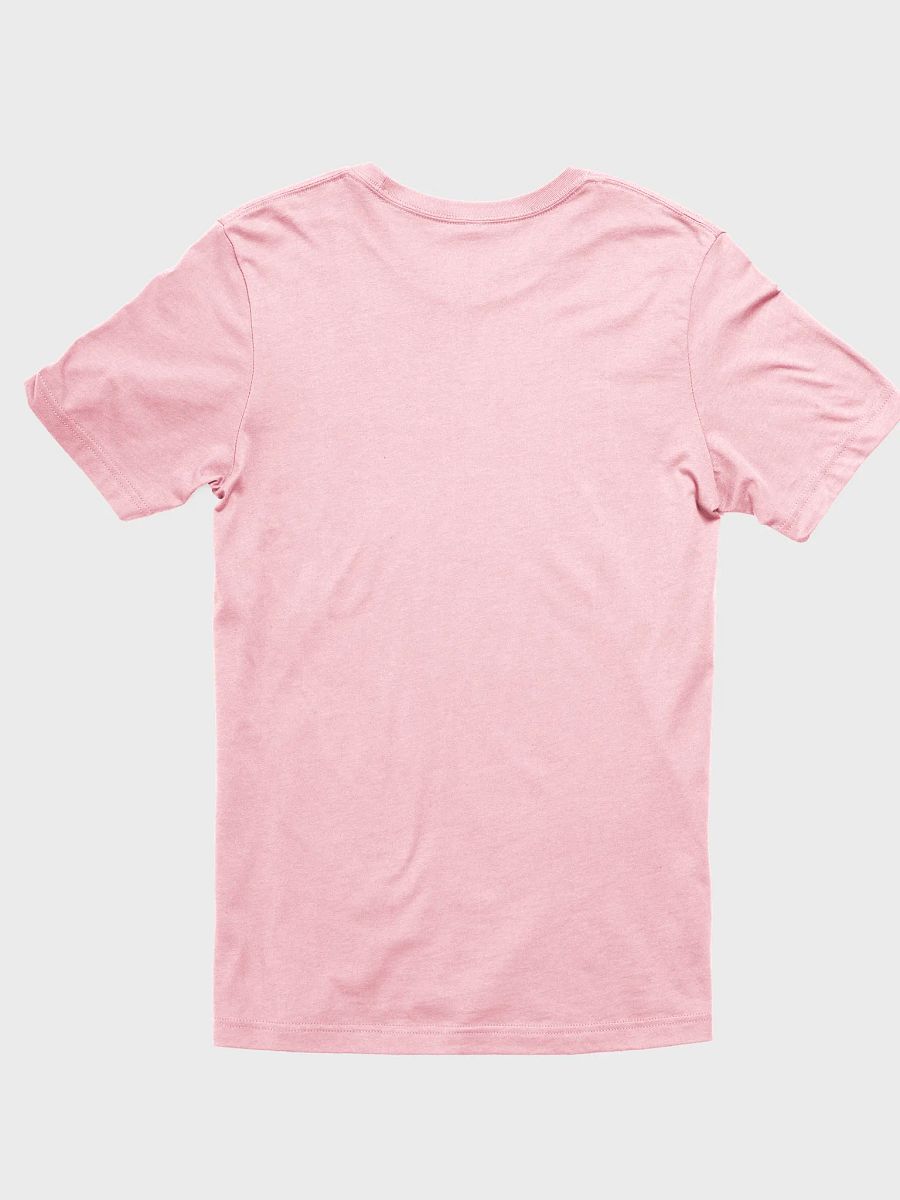 Questionable Decisions T-shirt product image (12)