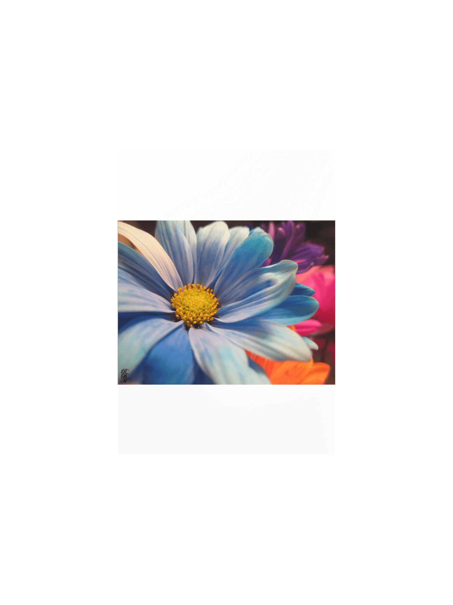 Colorful Flowers product image (2)