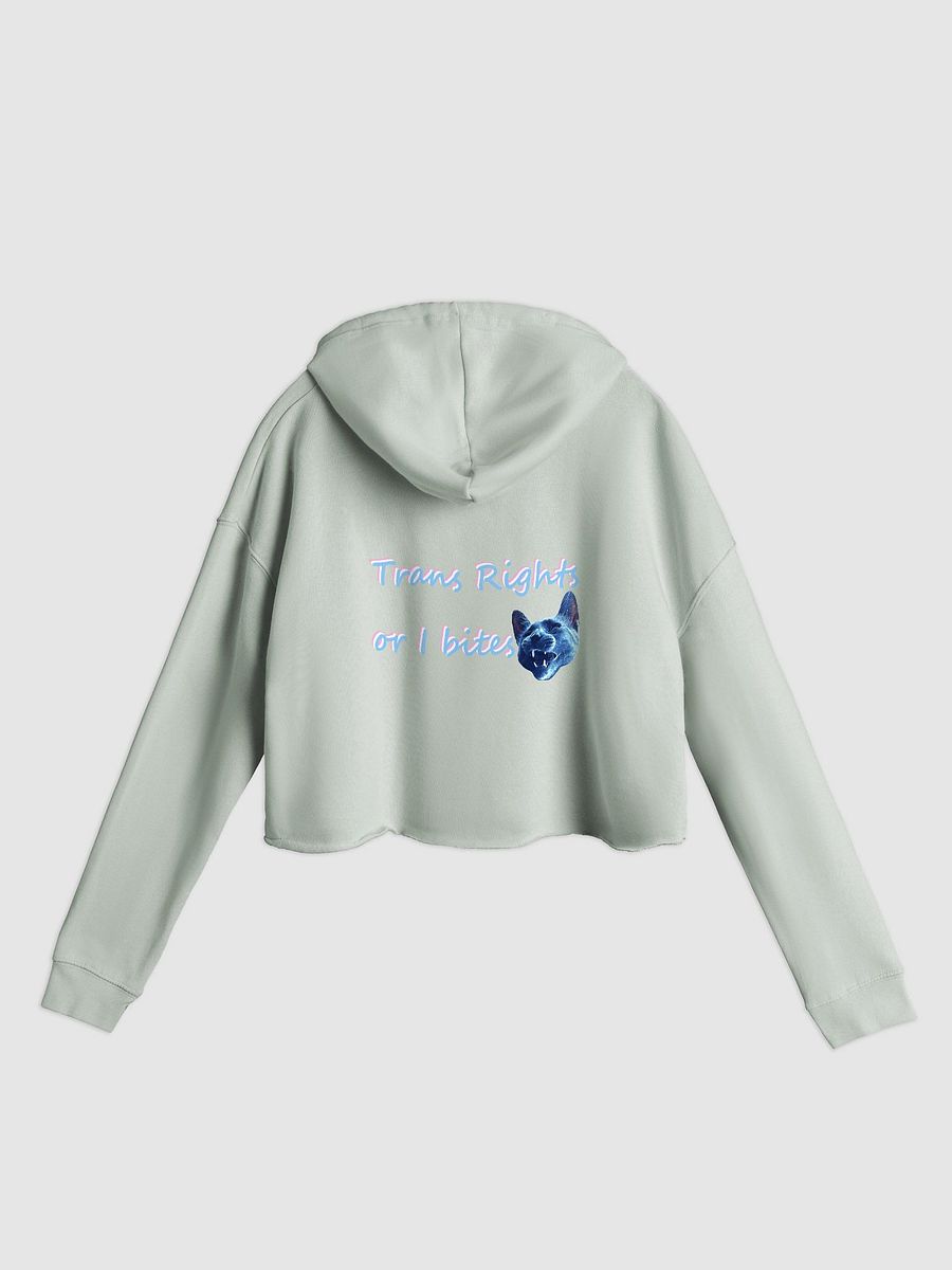 TROIB Cropped Hoodie in blue product image (5)