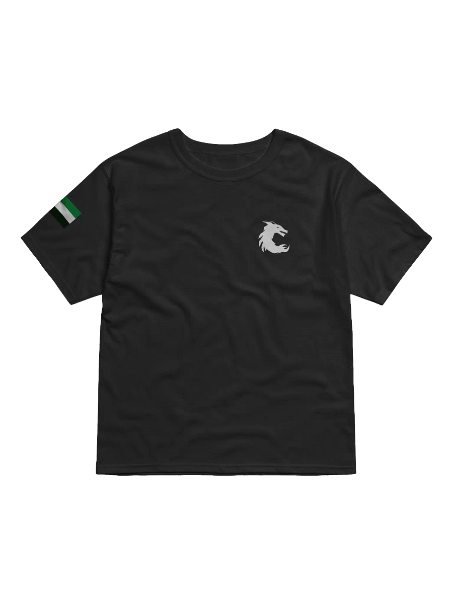 RVL Esports | Champion Relaxed-Fit T-Shirt product image (1)