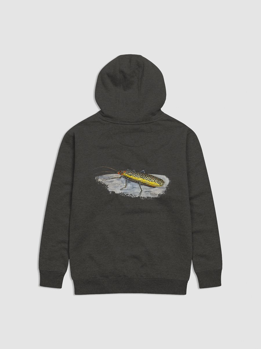 Brown Trout Stonefly Hoodie product image (1)