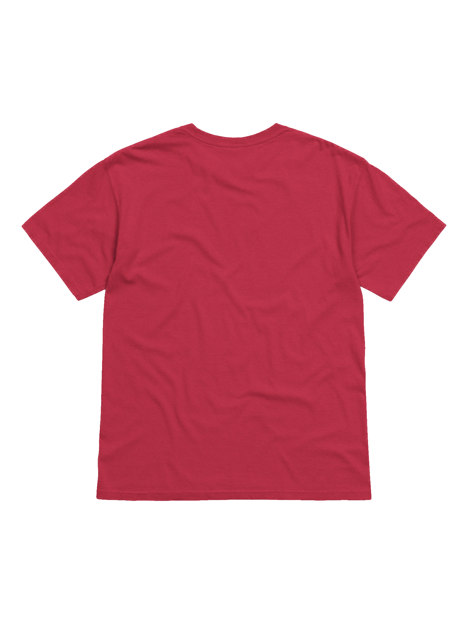 T-SHIRT "DOUBLEIMPACT" product image (32)