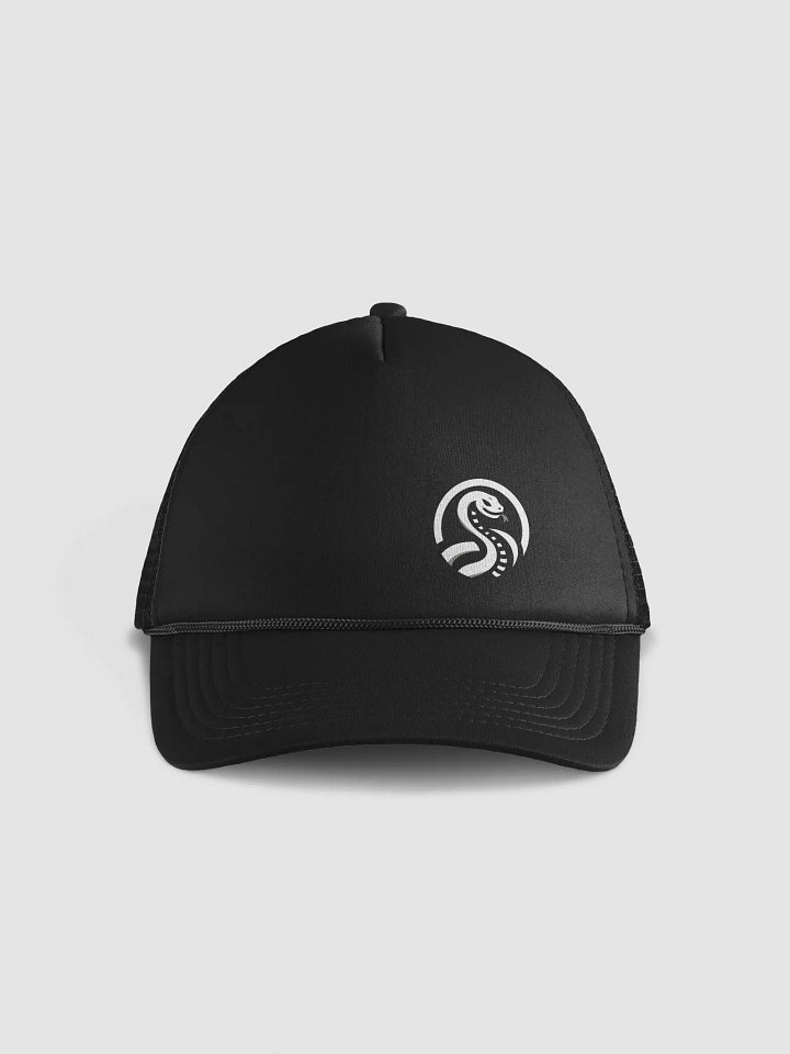 Stream Team Hat product image (1)