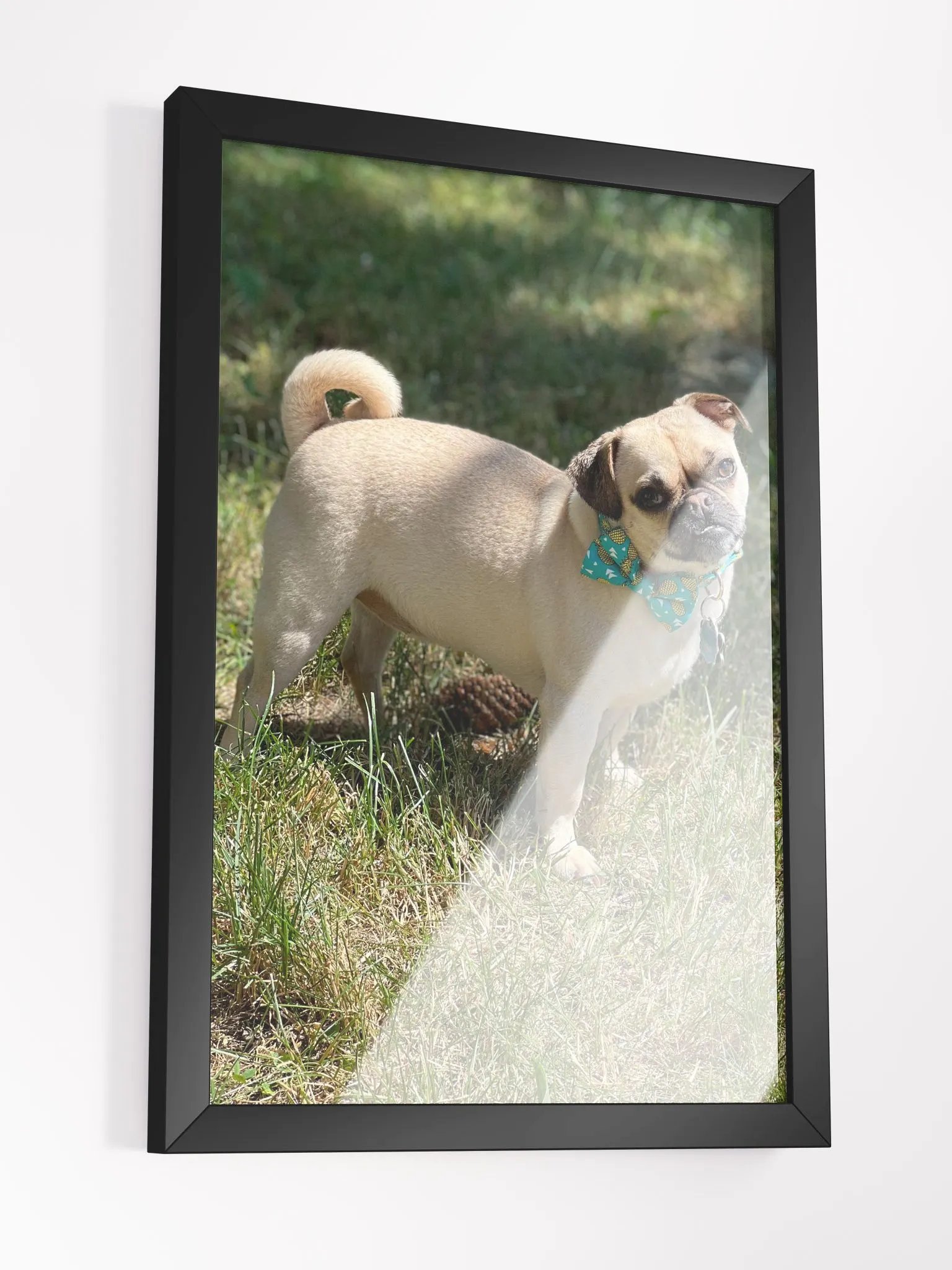 Crash Poster product image (5)