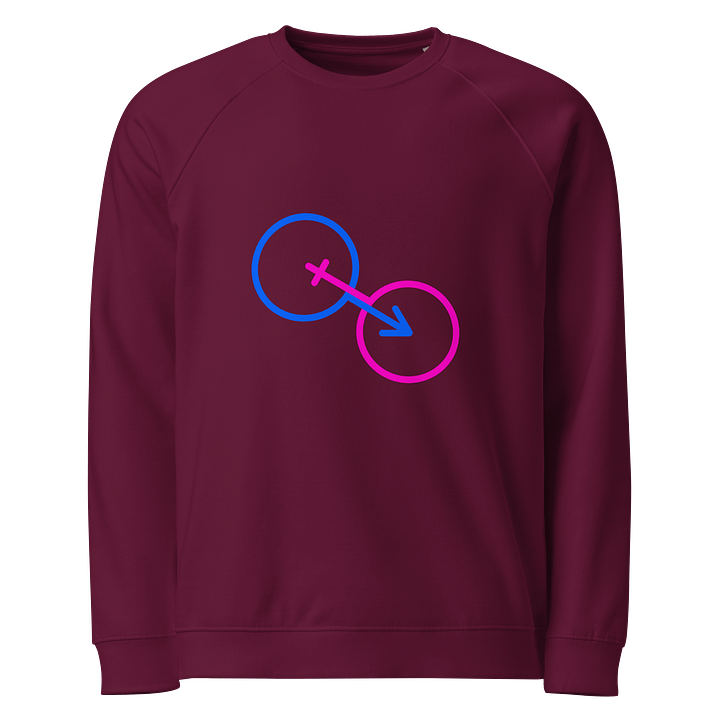 Male & Female Genders Only Raglan Sweatshirt product image (1)