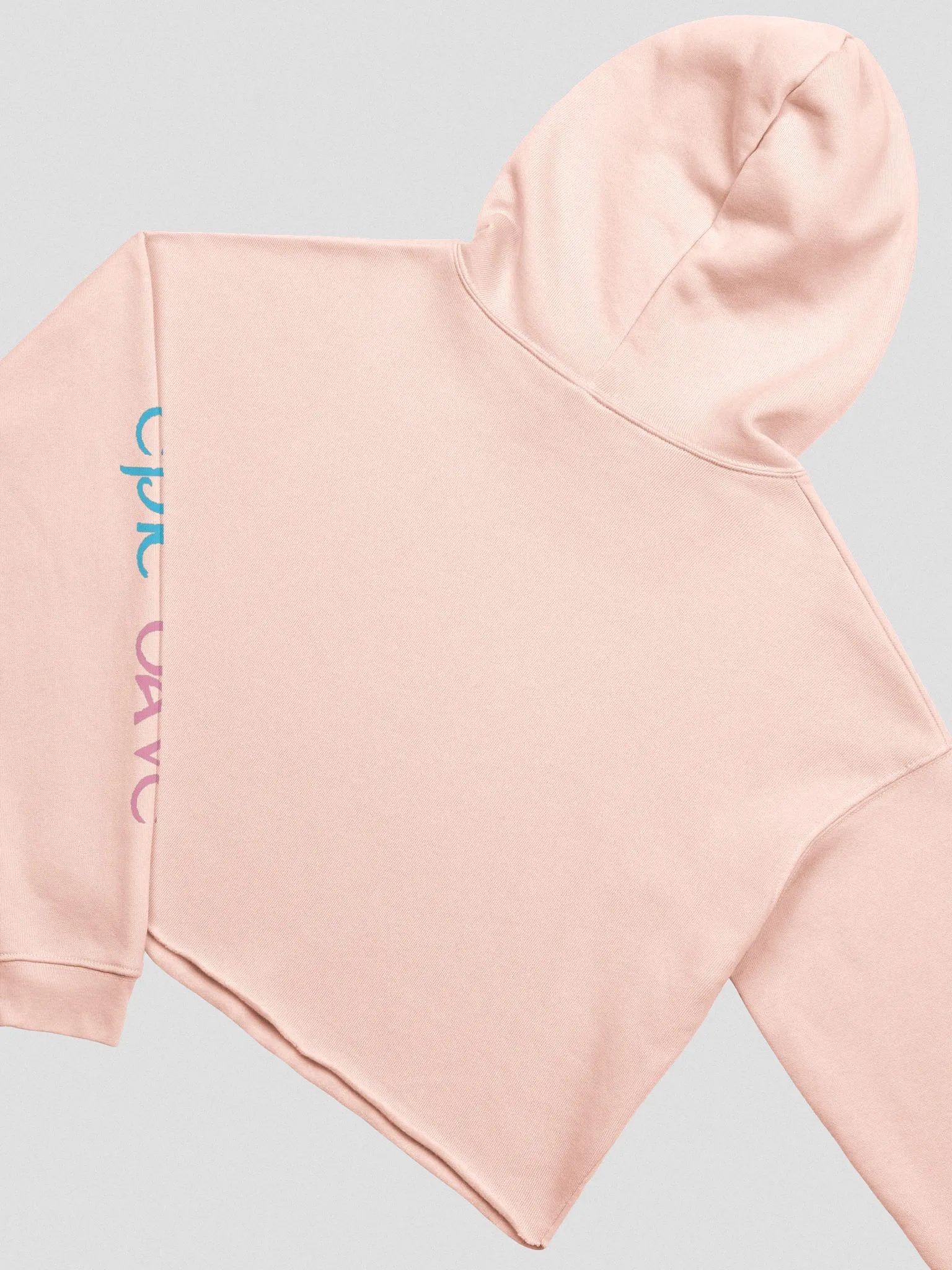 Epic Vice Crop Hoodie product image (11)