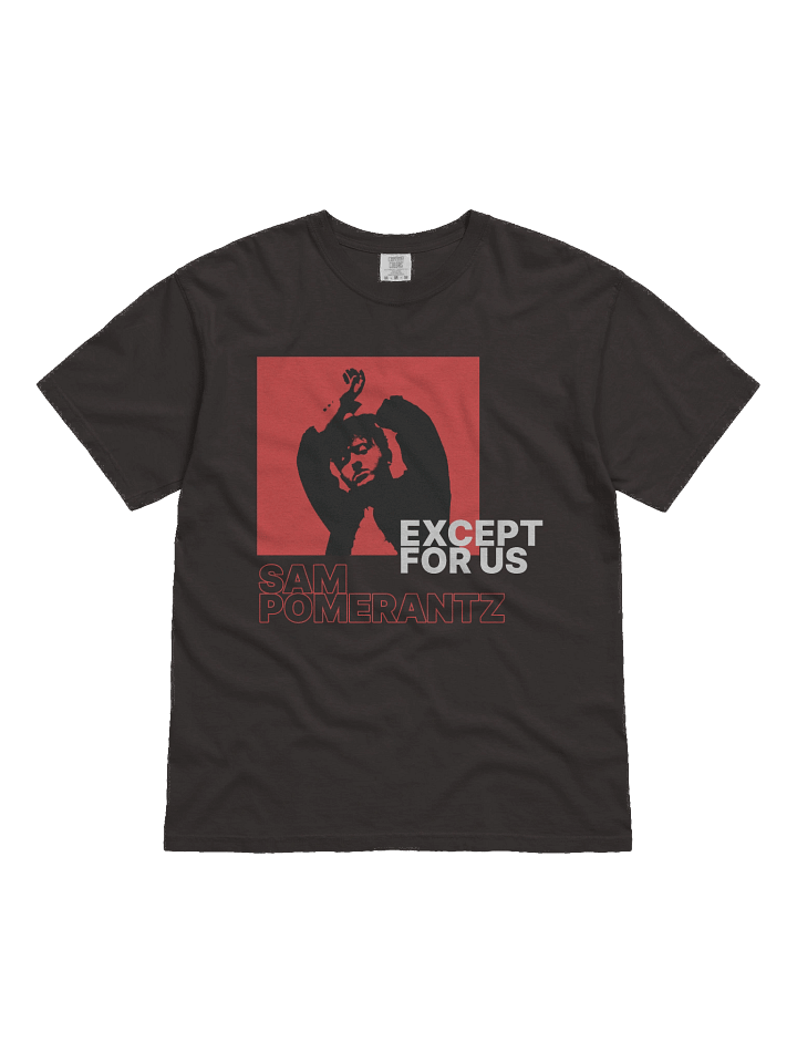 Except For Us Duotone Tee product image (1)