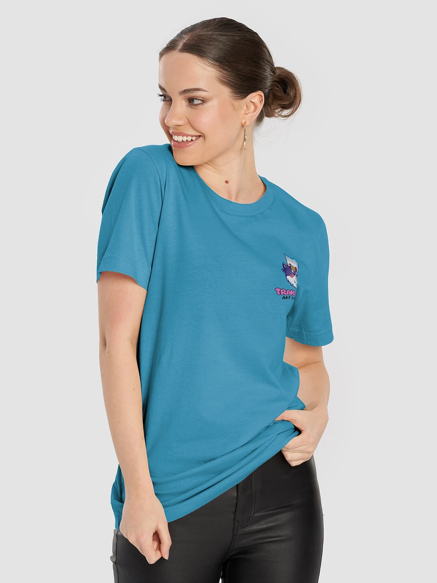 Trans Rights Soft Tee product image (85)