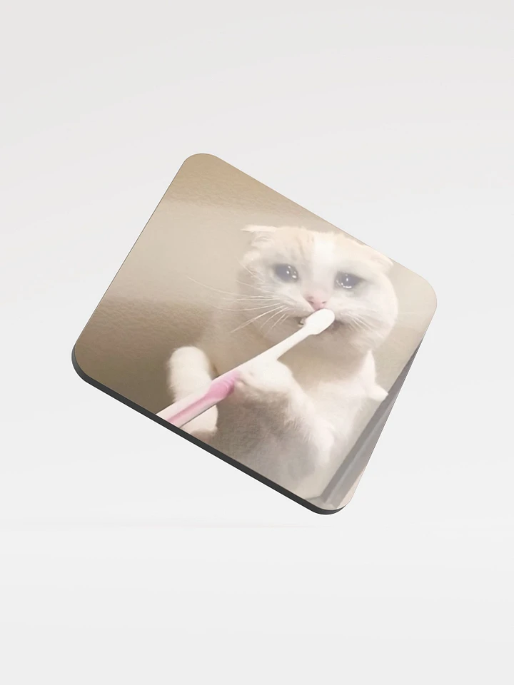 Glossed Cork Coaster: Meme Cats product image (1)