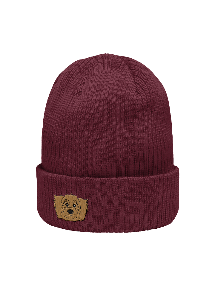 Radar Beanie product image (7)