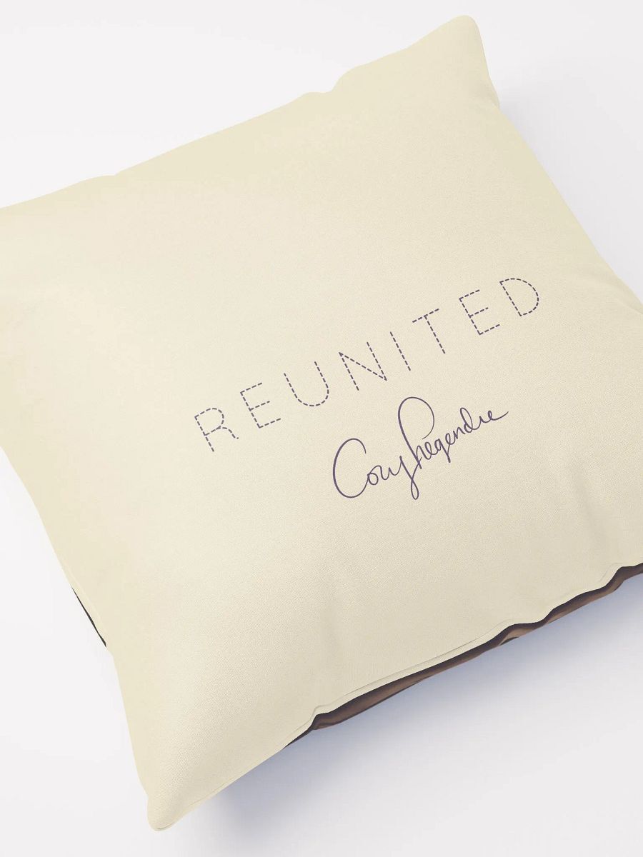 REUNITED: The Bridge Pillow product image (7)