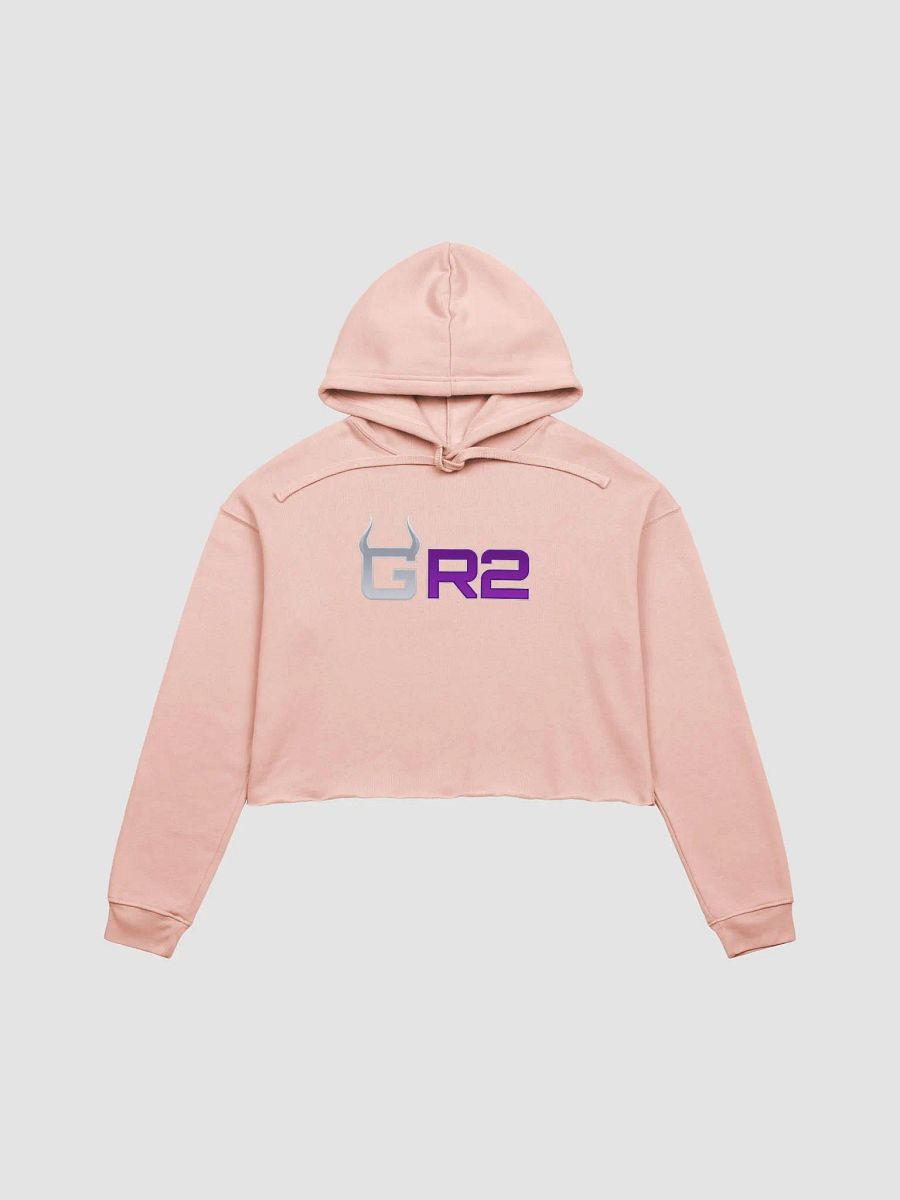 Crop hoodie product image (2)