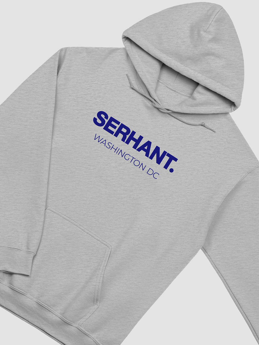 SERHANT. Washington DC Grey Hoodie product image (3)