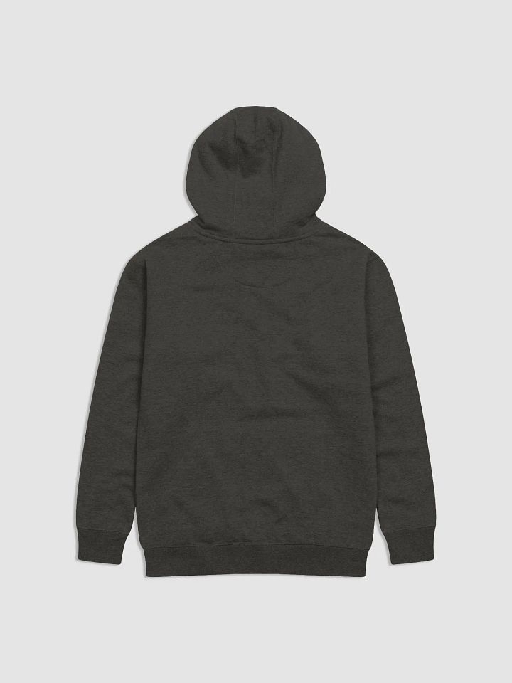 Too Much Hoodie (BB x CH) product image (2)