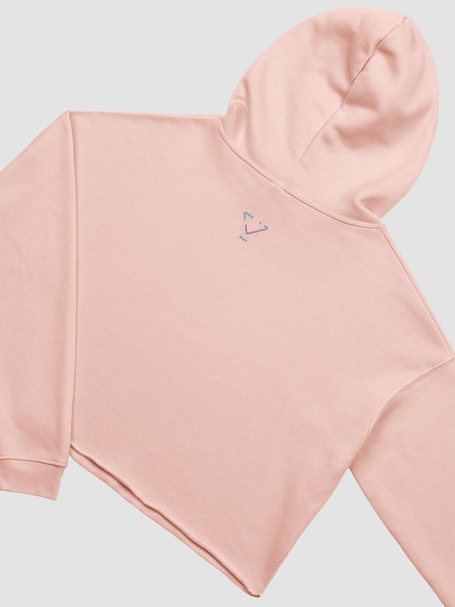 Out of S[poons] Grey Crop Hoodie product image (4)